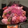 theflowerplug